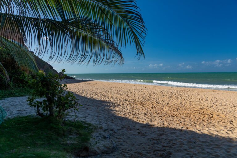 Quanto custa viajar para Porto de Galinhas? Veja como economizar sem abrir mão do conforto